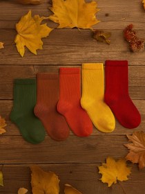 Resim Civil Boys Basic 5'Li 2-12 Yaş Erkek Soket Çorap - Standart / 12-13 Yaş 