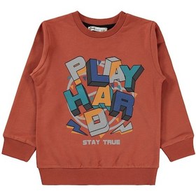 Resim Civil Boys Erkek Çocuk Sweatshirt 2-5 Yaş Koyu Bakır 19407408124w1 
