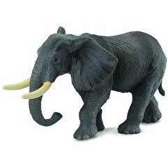 Resim Collecta Afrika Fili 