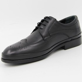 Resim James Franco 4002 Erkek Klasik Ayakkabı - Siyah Siyah 