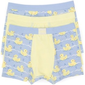 Resim U.S. Polo Assn. Erkek Çocuk 3'lü Boxer Takım 50319389-VR035 