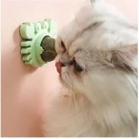 Resim Yengeç Kedi Otu Oyun Topu 