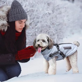Resim Su Geçirmez Reflektörlü Köpek Kışlık Montu - Mavi / XL 
