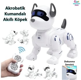 Resim Brother Toys Uzaktan Kumandalı Akrobat Köpek Akıllı Interaktif Öğretici Oyuncak Şarjlı Robot 