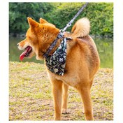 Resim Küçükten Büyüğe Irklara Uygun Ayarlanabilir Köpek Yelek Seti - Botanik Serisi Yelek, Tasma, Bandana ve Evcil Hayvan Tasması - Nefes Alabilen, Yumuşak Gezme Eşyası | Spor Tarzı | Rahat Kullanım 