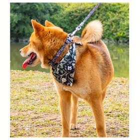 Resim Küçükten Büyüğe Irklara Uygun Ayarlanabilir Köpek Yelek Seti - Botanik Serisi Yelek, Tasma, Bandana ve Evcil Hayvan Tasması - Nefes Alabilen, Yumuşak Gezme Eşyası | Spor Tarzı | Rahat Kullanım 
