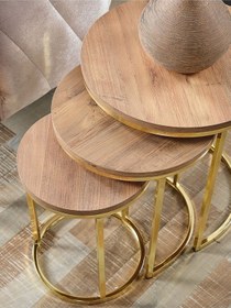 Resim 3' Lü Açık Ceviz Ahşap Gold Metal Sehpa 