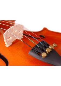 Resim Stentor 1018/F Standart Keman 1/4 