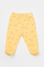 Resim BabyCosy Organic Cotton 2'li Patikli Bebek Pantolon 