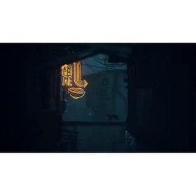 Resim PS4 OYUN STRAY OYUN 