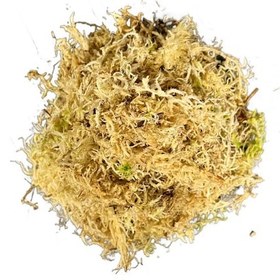 Resim Sphagnum Yosunu 10 Lt 