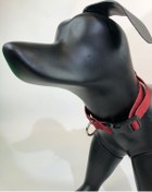 Resim Mita Ayarlanabilir Köpek Boyun Tasması Kırmızı 