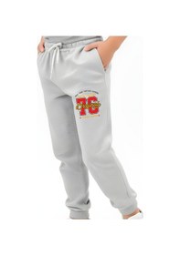 Resim Panios Kids Original 76 Baskılı Erkek Çocuk Jogger Eşofman Altı Gri 