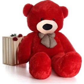 Resim Sevimli 90 Cm Peluş Ayı İle Pembe Konsept Romantik Peluş Ayıcık Buketi Kırmızı 