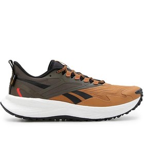 Resim Reebok 100033457 FLOATRIDE ENERGY 5 ADVENTURE Erkek Spor Ayakkabı Kahve siyah 