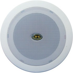 Resim West Sound TH-05 Hat Trafolu Tavan Hoparlörü 