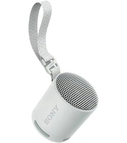 Resim Srs-xb100 Kompakt Bluetooth Hoparlör Dış Mekan Taşınabilir 