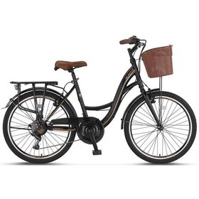 Resim Ümit 2410 Alanya Sepetli Bayan Şehir Bisikleti 24 Jant 21 Vites Siyah Kahverengi Çok Renkli 