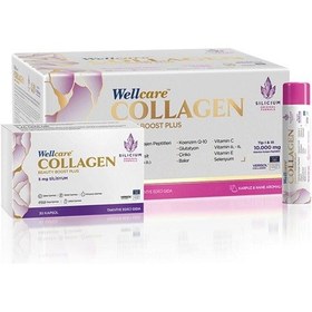 Resim Wellcare Collagen Beauty Boost Plus Karpuz & Nane Aromalı 30 x 40 ML 