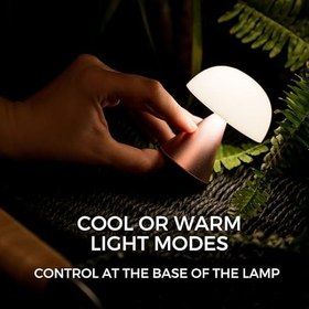 Resim Lexon Mina Mini Lamba LED 6 Saat Pil Soğuk ve Sıcak Işık Kontrolü USB-C (Pembe) 