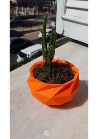 Resim Opencart Yüzlü Vazo Sadece Plastik Aparattır 