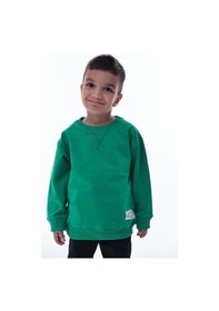Resim Erkek Çocuk Yeşil Sweatshirt Rahat Kesim, Yumuşak Kumaş, Günlük Spor Şık Üst Modeli Yeşil 