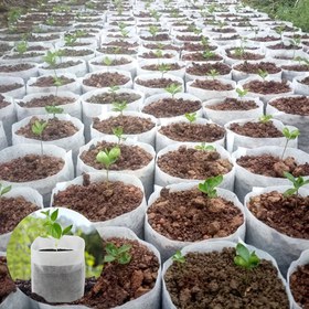 Resim 200 Biyolojik Olumlu Tohum Bahçe Çantaları: R1Supply'den Ev Bahçenize Uygun Kumaş Potlar. 