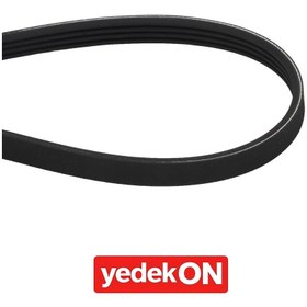 Resim AGCO Çoklu Kanatlı Kayış - Valtra | V685041132 