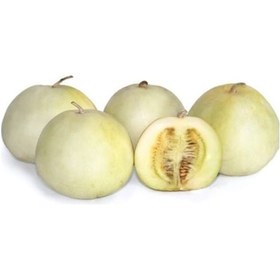 Resim Elma Kavunu Tohumu 10 Adet Tohum Apple Melon Kavun Tohumu 