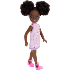 Resim Barbie Chelsea Bebek Serisi HXM96 