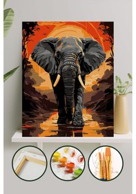 Resim Sayılarla Boyama Tuval Seti 40x50 Cm - Fil 