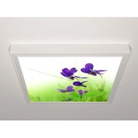 Resim Gök Panel 60X60 LED Panel Aydınlatma Armatür Avize Sıva Üstü Desenli Tekli 46510700SU 