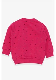 Resim Breeze Kız Bebek Sweatshirt Mutlu Kedicikler 4 Ay-1.5 Yaş, Fuşya-fuşya Fuşya 