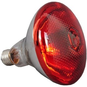 Resim Domuz Yavrusu, Tavuk, Ördek İçin 250w Kızılötesi Isı Lambası Su Geçirmez, Patlamaya Dayanıklı Kalınlaştırılmış Lambalar 