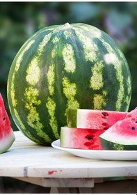 Resim Doğal Diyarbakır Karpuzu CSweet Tipi 100 Ad Tohum 