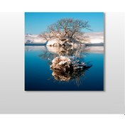 Resim Göl Ve Kuruyan Ağaç Kanvas Tablo 