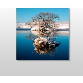 Resim Göl Ve Kuruyan Ağaç Kanvas Tablo 