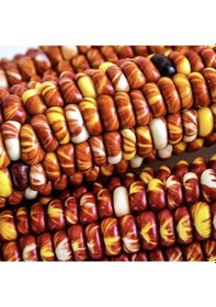 Resim Doğal Geleneksel Montana Sunburst Mısır Tohumu 10 Tohum 