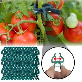 Resim 20/40/60 Adet Sağlam Plastik Bitki Destek Klipsleri - Bahçe Asma Bitkileri için Yeşil Kollu Halka Klipsler, Domates ve Salatalık Sarmalları ile Ekstra Destekler, Saplar ve Dalaklar için Ergonomik Tasarım, Sağlıklı Bitki Büyümesi için Dayanıklı Bahçe Araçları, Salatalık Dal Klipsleri | Yuvarlak Klip Tasarımı | Sağlam Bahçe Aletleri 