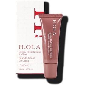 Resim HOLA Kalıcı Yüksek Pigmentli Lip Gloss - Loveberry 