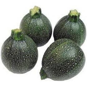 Resim Nadir Topak Yeşil Dolmalık Kabak Tohumu 10 Tohum + Tohum N111501 