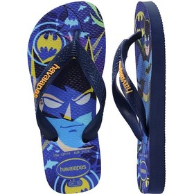 Resim Havaianas Kıds Top Warner Erkek Çocuk Parmak Arası Terlik 4150291 4150291 0555 Lacivert 