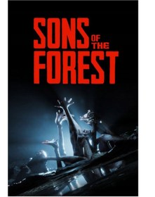 Resim Endnight Games Limited Sons Of The Forest (PC Oyun) Steam Hesap 