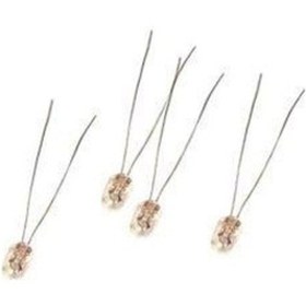 Resim Oto Teyp Ampulü 6 Volt 