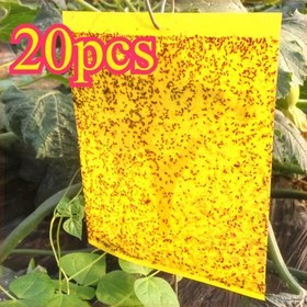 Resim 10/20 Paket Çift Taraflı Sarı Yapışkan Tuzaklar - Toksik Olmayan Yüksek Görünümlü Sinek Yakalayıcıları, Serada, Ev ve Bahçe Zararlı Kontrolü İçin Güçlü Yapışkan | Beyaz Sinekler, Sinekler, Meyve Sinekleri ve Daha Fazlası İçin Etkili, Bahçe Zararlı Kontrolü | Çift Taraflı Tuzaklar | Dayanıklı Yapışkan Tuzaklar, Ev Bitkisi Koruma 