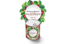 Resim Toyigoo Buffer® Konserve Bahçem Evde Konservede Fındık Turp Yetiştirme Kiti TYGRSYT9573 