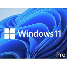 Resim Ms Windows 11 Pro Fqc-10556 64Bıt Tr Oem 