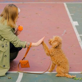 Resim Merlin Köpek Gezdirme Kayışı - Sadece Deri Kayış İstiyorum / Eskitilmiş Kahve / İsim Baskı İstiyorum (+100) 