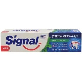 Resim Signal Çürüklere Karşı Nane Ferahlığı Diş Macunu 100ml 