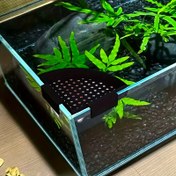 Resim Evrensel Akvaryum Filtre Baffle, Su Değişimi Difüzörü, Akış Kontrolörü, Balık Tankı Su Değişimi Aracı, Akvaryumlara Uygun Yavaşlatma Tasarımı, Verimli Su Ekleme Aksesuarı, Balık Tankı Su Değiştirici, Pilsiz, Balık Tankı Filtre Sistemi, Balık Tankı Filtre Pompası, Balık Tankı Filtre Kutusu, Balık Tankı Filtre 2, Akvaryum Aksesuarları, Akvaryum Vakumu, Akvaryum Alt Besleyici, Akvaryum Temizleme Sifonu 